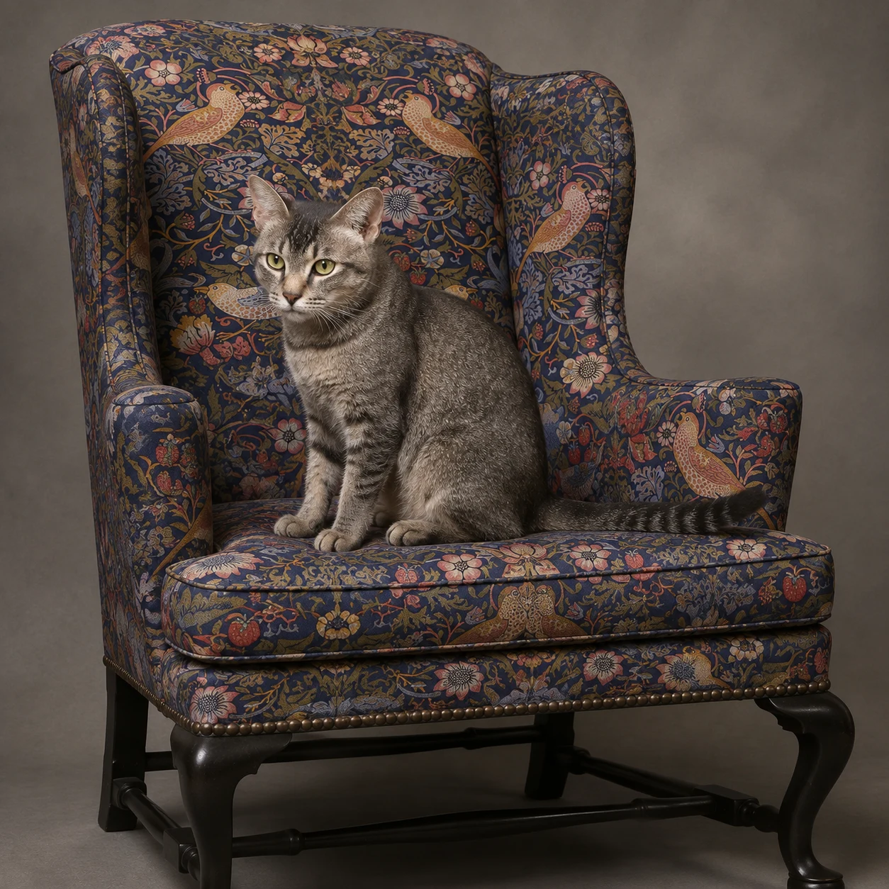 Gray tabby on a patterned historic wing chair